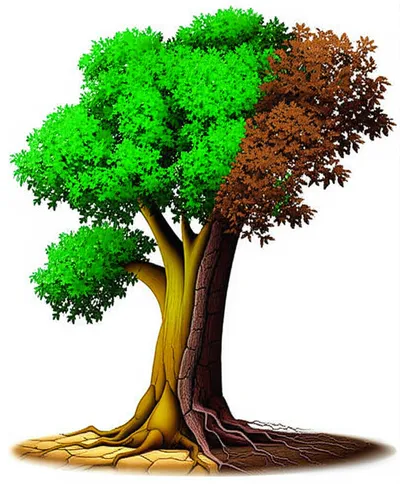 Illustration sapping - Image 1