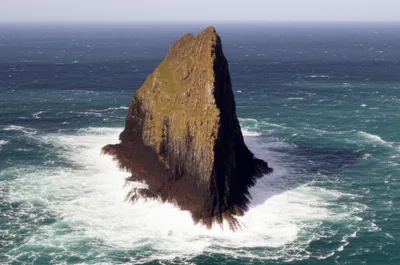 Illustration handles - Image 1