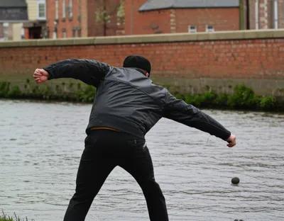 Illustration cob - Image 1