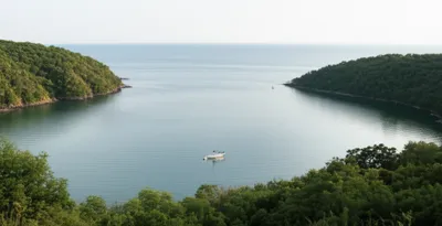 Illustration arms - Image 1