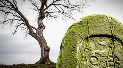 Illustration olden - Image 1