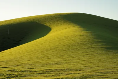 Illustration swell - Image 1