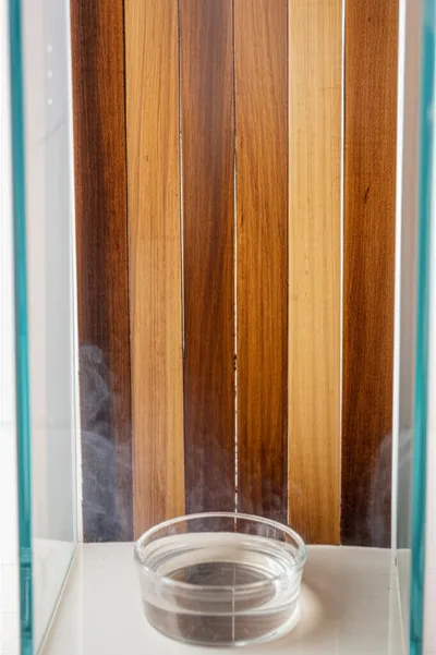 Illustration fume - Image 1