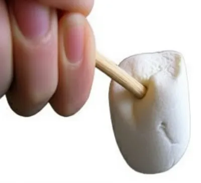 Illustration stokes - Image 1