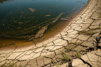 Illustration stank - Image 1