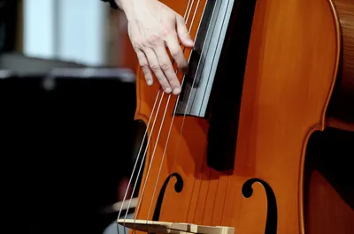 Illustration basso - Image 1