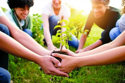 Illustration humanist - Image 1