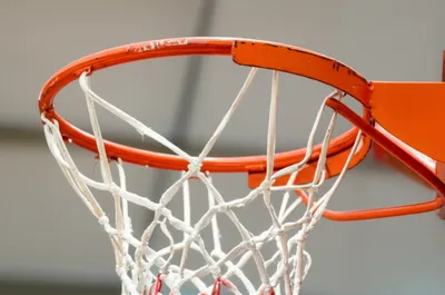 Illustration rim - Image 1