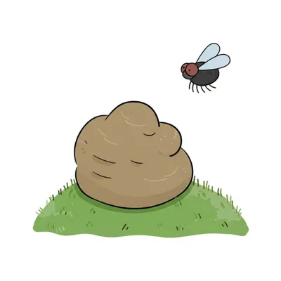 Illustration dumplings - Image 1