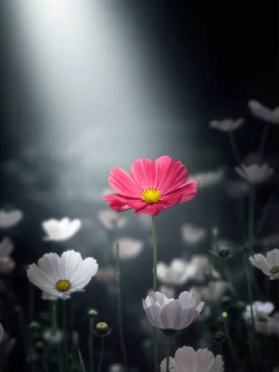 Illustration accents - Image 1