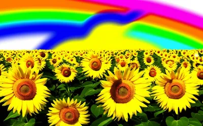 Illustration var. - Image 1