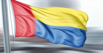 Illustration waved - Image 1