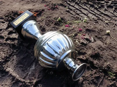 Illustration tarnished - Image 1