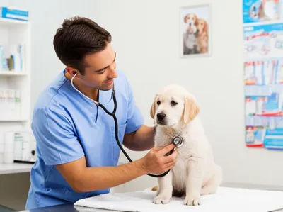 Illustration doctor - Image 1