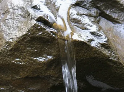 Illustration softened - Image 1