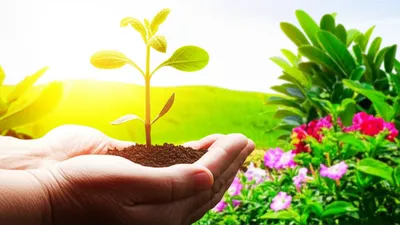 Illustration promoted - Image 1