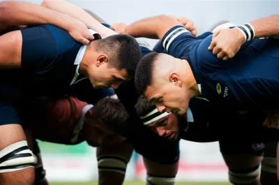 Illustration pack - Image 1