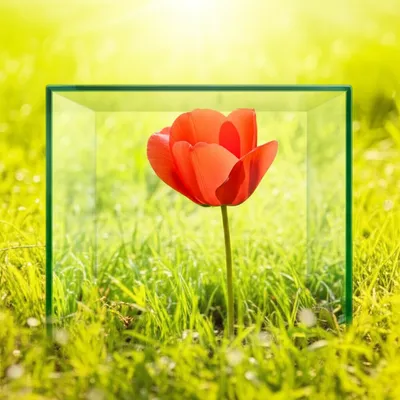 Illustration openness - Image 1