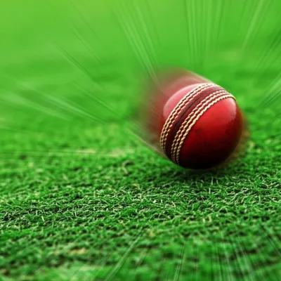 Illustration paces - Image 1