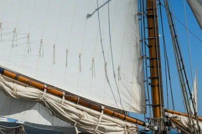 Illustration handed - Image 1