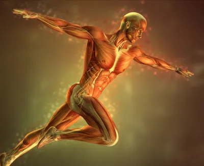 Illustration somatic