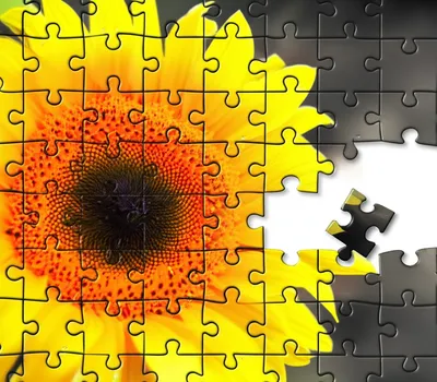 Illustration complements - Image 1