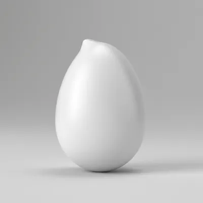 Illustration ovoid - Image 1