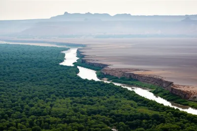 Illustration borderlands