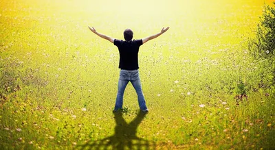 Illustration rested - Image 1