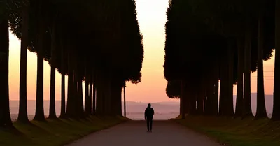 Illustration vistas - Image 1