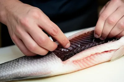 Illustration slime - Image 1