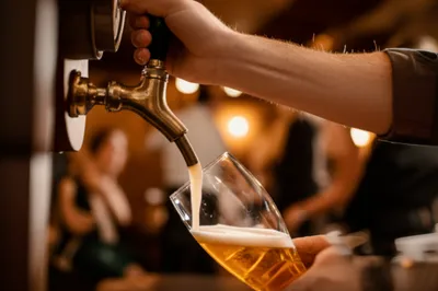 Illustration drafts - Image 1