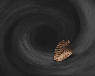 Illustration biggest - Image 1