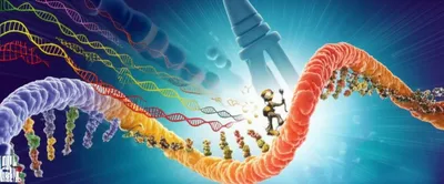 Illustration transcribing - Image 1