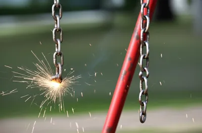 Illustration screeches - Image 1