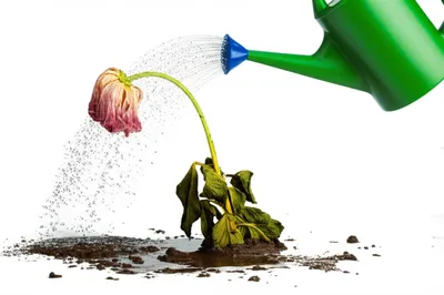 Illustration overusing