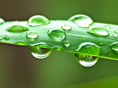 Illustration weeps - Image 1