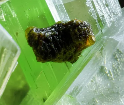 Illustration immuring - Image 1