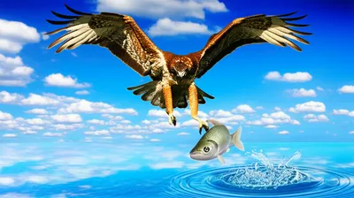 Illustration snatches - Image 1