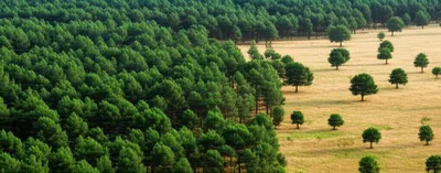 Illustration single - Image 1