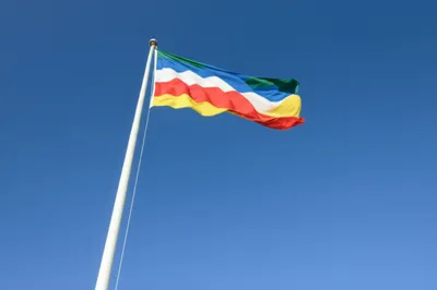 Illustration flew - Image 1