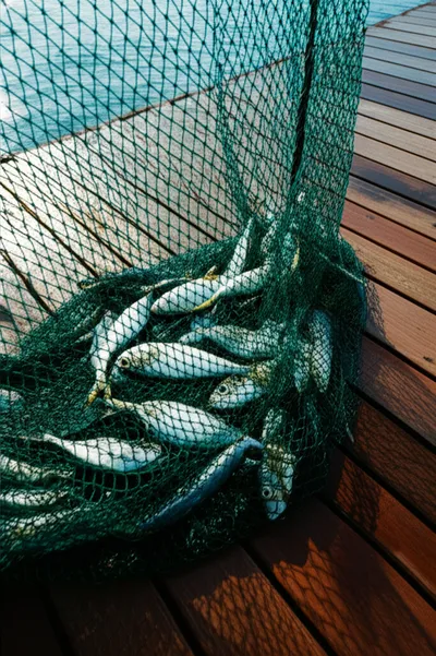 Illustration take - Image 1