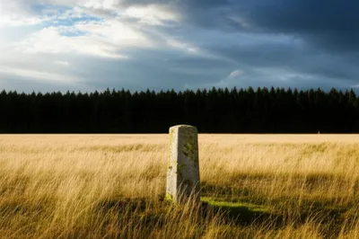 Illustration mere - Image 1