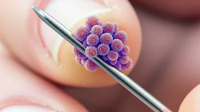 Illustration microscopic - Image 1