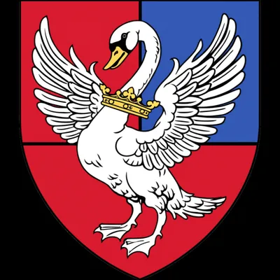 Illustration swan - Image 1