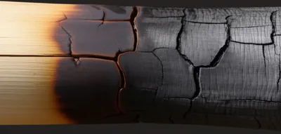 Illustration carbonised - Image 2