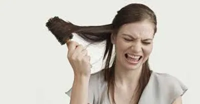 Illustration knot - Image 2