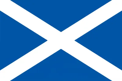 Illustration saltire - Image 1