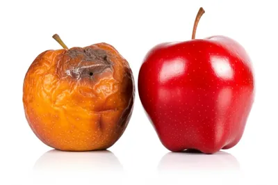 Illustration inferior - Image 1