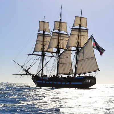 Illustration cruisers - Image 1